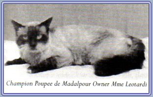 Poupee de Madalopour primo sacro di birmania